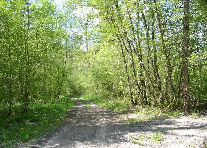 Maison De Maddy Moiremont